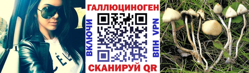 Псилоцибиновые грибы Magic Shrooms  Купить где  Отрадное 